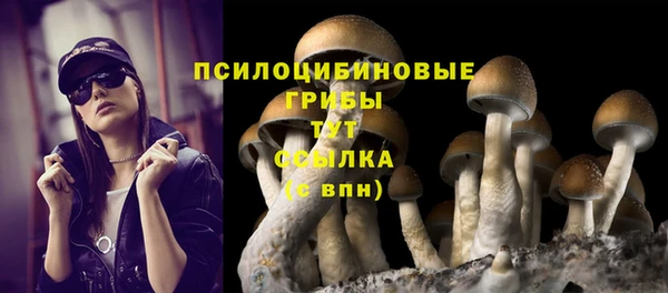 дживик Балабаново