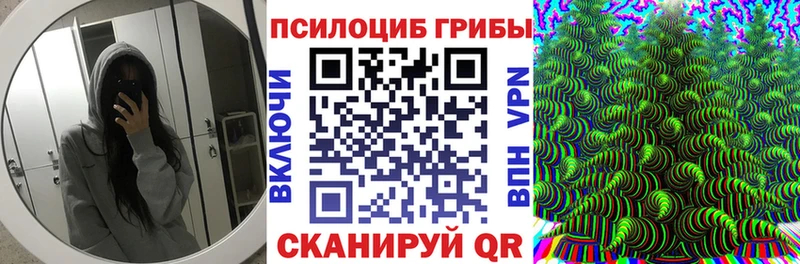 Псилоцибиновые грибы Cubensis дарнет шоп Лесозаводск